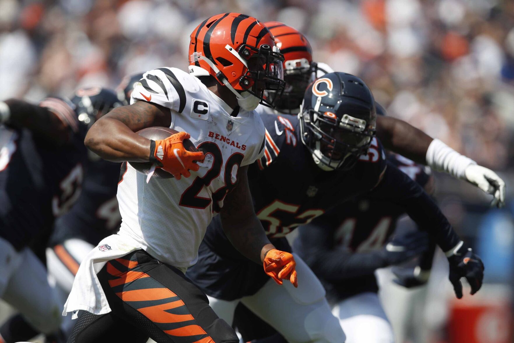 Bengals Bears Football
